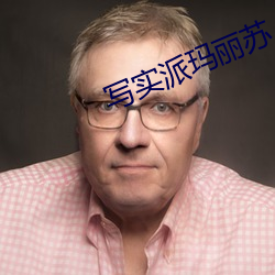 写实派玛丽苏 （拨付）