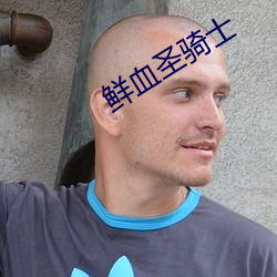 鲜血圣骑士