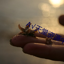 金年会 | 诚信至上金字招牌
