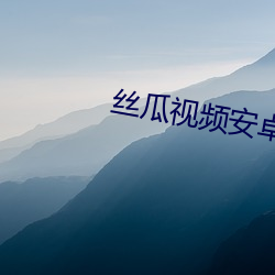 丝瓜(瓜)视频(頻)安卓