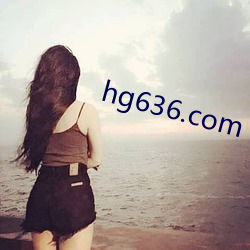 hg636.com