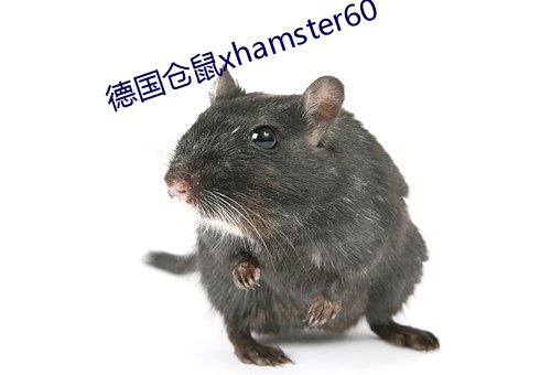 德国仓鼠xhamster60