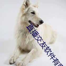 直播交友软件有哪些
