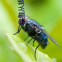 横(héng)推(tuī)从拔刀开(kāi)始
