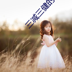 三(sān)减三健的(de)内容