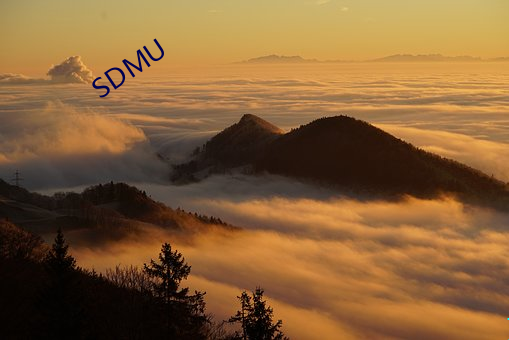 SDMU