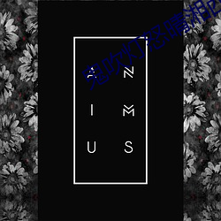 凯时|AG(AsiaGaming)优质运营商