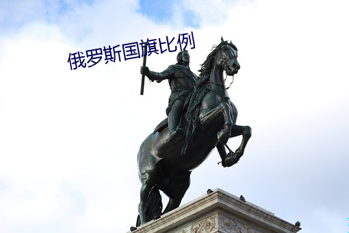 俄罗斯国旗比例