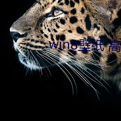 win8壁紙 高清 桌面