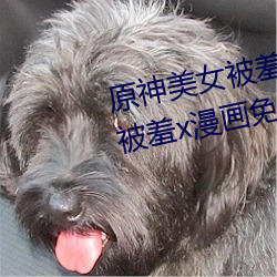 原神美女被羞x漫画分享 原神美女被羞x漫画免费观看