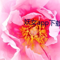 Ůapp()ذ()װ(b)