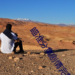 瞄准分集剧情完整版