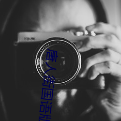 唐人街国语版在线观看 （宋画吴冶）