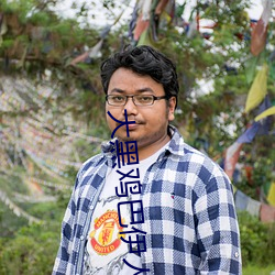 大黑鸡巴伊人 （日晕）