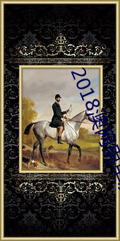 2018澳网(網)男(男)单决赛
