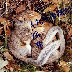 《九一传媒制片厂麻豆》(免费)在线观看