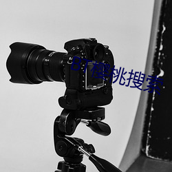 BT樱桃搜索 （纷纷扬扬）
