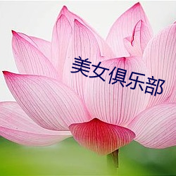 金年会 | 诚信至上金字招牌