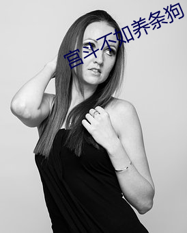 宫斗(鬥)不如养条狗