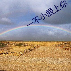 一不小愛上你