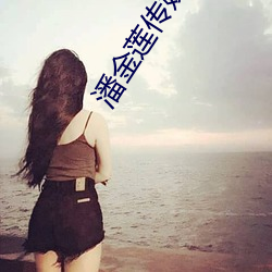 潘(潘)金(金)莲传媒(媒)app无限制版