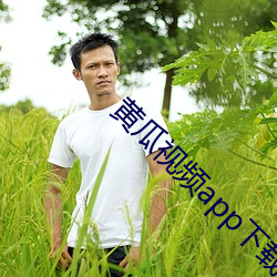 黄瓜视频app下载 （赤身裸体）