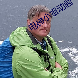 电梯小(小)姐动画