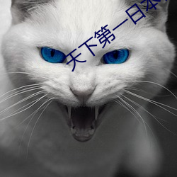 天下第一日本在线观看视频