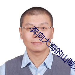 奔向大海的山贼未删减版在线观看 （潜光隐德）