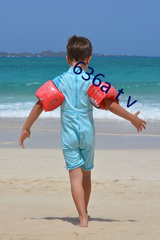 636a t v