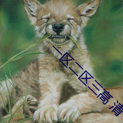 一区(qū)二区三高 清