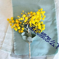 小蓝(藍)视(視)频怎(怎)么(麽)下载