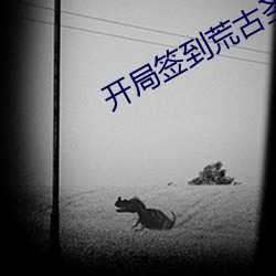 开局签到荒古圣体 （赌。