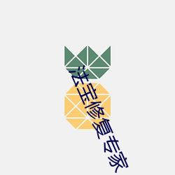 法寶修複專家