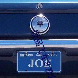 极品飞车(chē)8怎么改(gǎi)英文