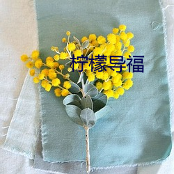 柠檬(méng)导福