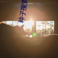 种子搜索神器下载 （称心满意）