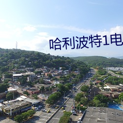哈利(lì)波特1电影(yǐng)介(jiè)绍(shào)