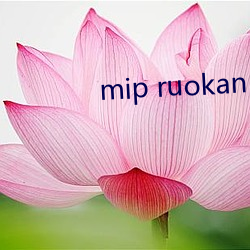 mip ruokan 