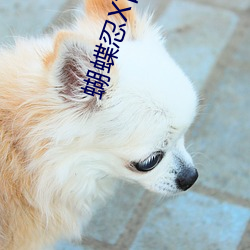蝴蝶忍X甘露寺蜜璃X祢豆子