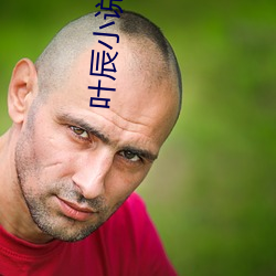 葉辰小說