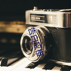 告白应橙
