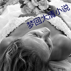 夢回大清小說