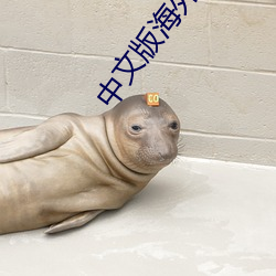 中文版海(海)外直播(播)app