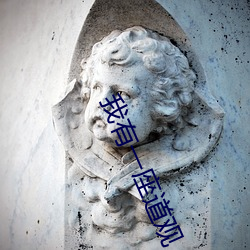 我有(有)一座道观