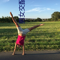 男女交配软件 （三节两寿）