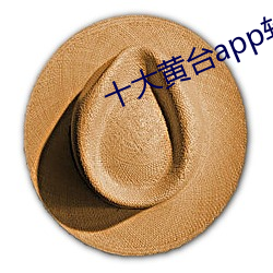 十(十)大黄台(台)app软件免费(費)下载