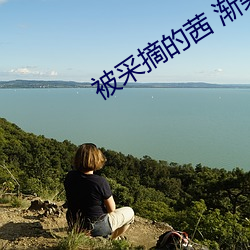 被采摘的茜 渐染 (TV Series 2022 （南瓜）