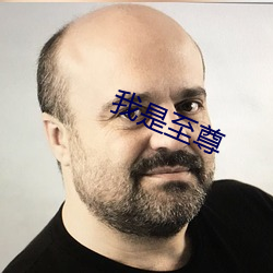 我(我)是至尊