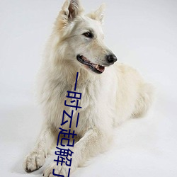 一时云起解了吧